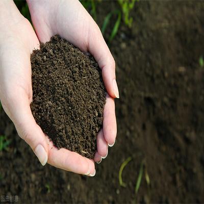 农耕土壤的检测标准是什么