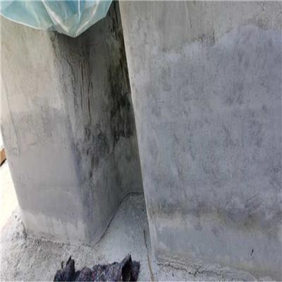 广东丙乳修补砂浆 C60聚合物砂浆生产厂家 污水池修补