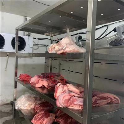 猪牛羊肉低温高湿解冻机 定制大块肉类冻转鲜设备