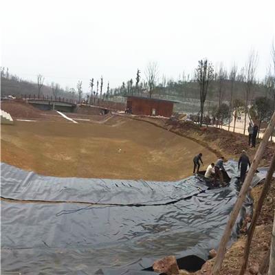 重庆鱼塘建设覆盖防渗膜 由工厂定制生产