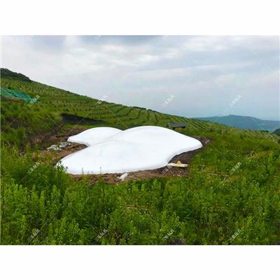 湖南長沙蹦蹦云游樂設備項目