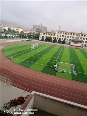 操场室外假草坪 人工草坪铺设 足球场地人工草皮