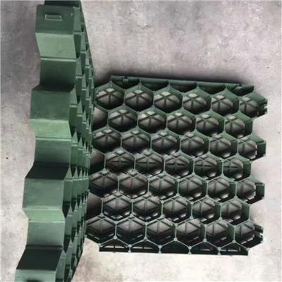 重庆绿化塑料植草格-植草板48mm花口可定制