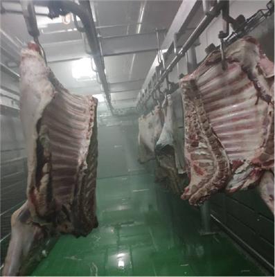 冻鸡肉缓化解冻设备  牛肉低温高湿解冻库 可定制