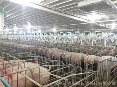 智慧农场在线监测智慧养猪环境监测方案猪舍环境监测系统支持5G视频体温监测气体监测