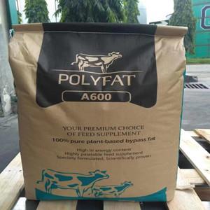 专业植物脂肪粉-厂家直销-进口植物脂肪粉 优质供应商