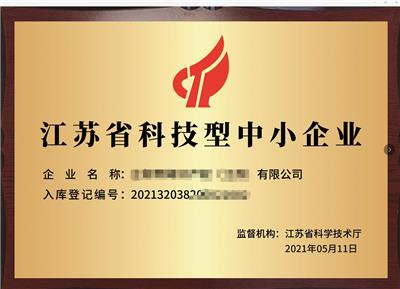 广东省申报科技型中小企业资料 承接项目