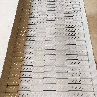 清洗链板输送带厂家定制304不锈钢输送链板流水线