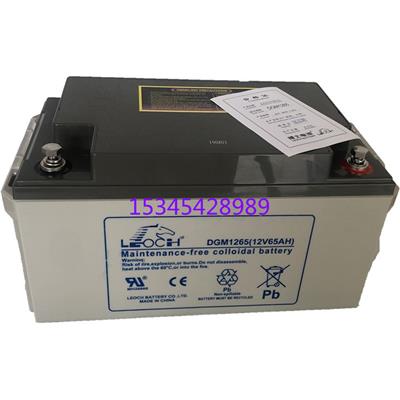 江苏理士蓄电池 DJM1250 12V50AH 应急电源 UPS电瓶 铁路 电梯配件