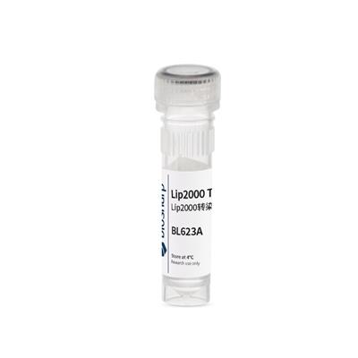 Biosharp 脂质体2000/Lip2000转染试剂