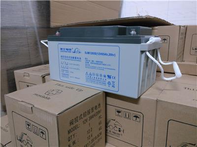 新疆理士蓄电池出售 铅酸蓄电池 售前咨询