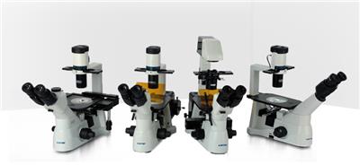 XD系列倒置生物/熒光顯微鏡為細胞組織觀察而設計