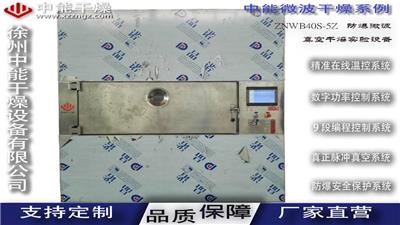 ZNWB45S-5Z微波真空灭菌干燥箱价格 活性炭干燥设备