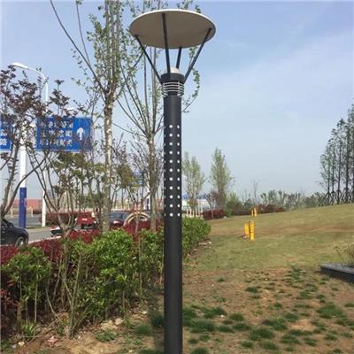 公园小区景观灯 3米4米LED景观灯 天光灯具