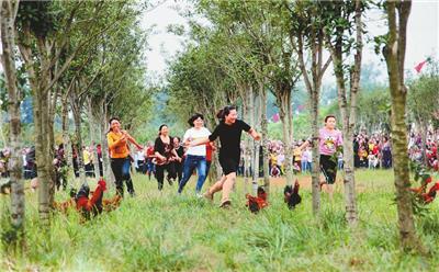 原来惠州能体验到山水田园间的农家乐生活