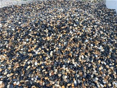 沈阳水处理滤料鹅卵石批发 水洗鹅卵石 各种规格尺寸