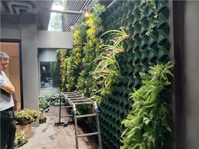 翼兴园公司 苏州植物墙施工养护绿植墙制作安装滴灌系统开发企业