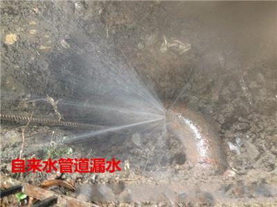 快速补漏 贵州工厂水管漏水查漏检修