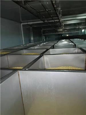 河南周口日产6000斤峰成牌全自动豆芽机生产线设备