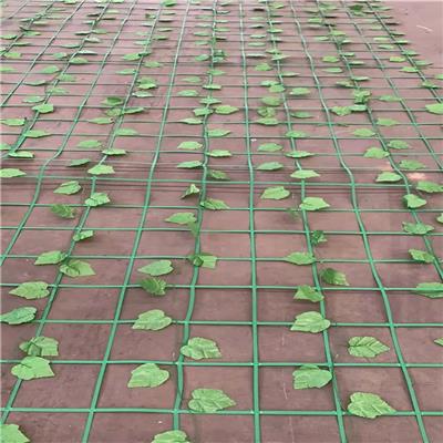 贵州绿化爬藤网优质厂家直发，规格齐全 现货供应
