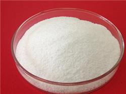 氨苄西林生产 69-53-4 氨苄西林用途
