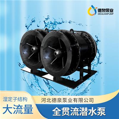 濕式潛水貫流泵 泵閘增擴全貫流排水泵 德泉泵業