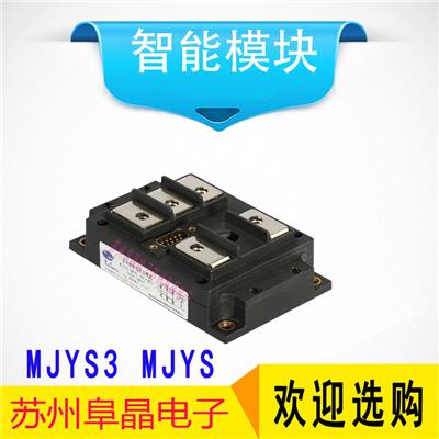 三相交流晶闸模块,MJYS-QKJL-1200/380智能模块