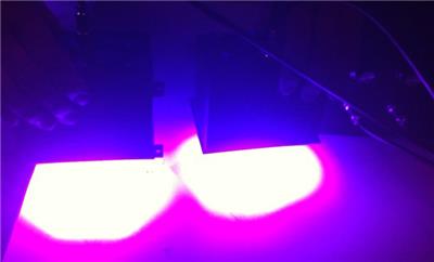 东莞厂家 定做UV LED面光源