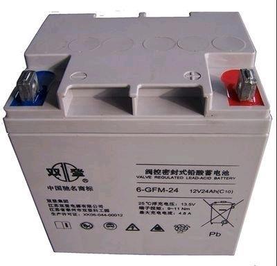 四川 双登蓄电池6-FM12V24AH蓄电池通信电源UPS/EPS发电厂