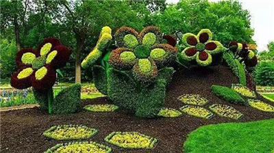 来宾忻城绿雕 植物雕塑 菊花艺术展 以客为尊