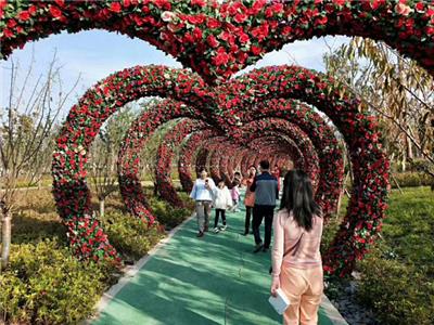 重庆城口绿雕 2022主题方案 市政绿雕 近期行情