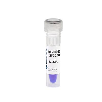 Biosharp 试剂D15000 DNA Marker