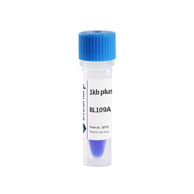 Biosharp 试剂1kb plus DNA Marker