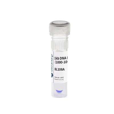 Biosharp 试剂1kb DNA Marker