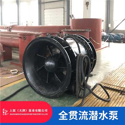 广东江门900QGWZS-100T大流量双向排水全贯流潜水电泵