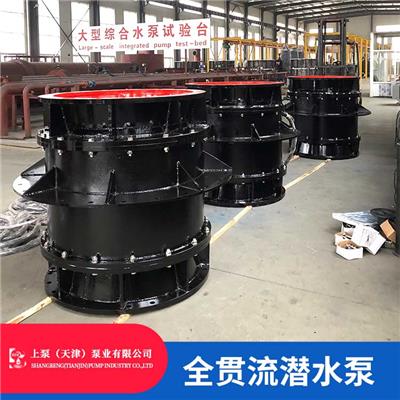 湖南湘潭900QGWZ-70大流量双向排水全贯流潜水电泵