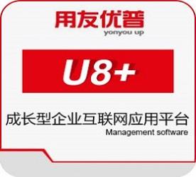 芜湖云友软件技术有限公司