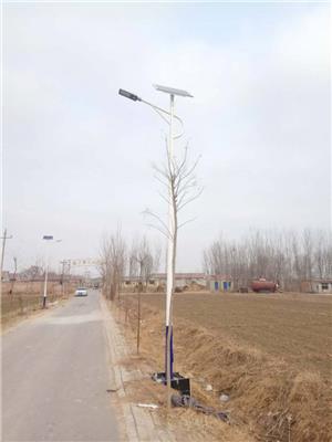 太阳能路灯新农村建设海螺臂路灯6米LED40w路灯道路照明工程