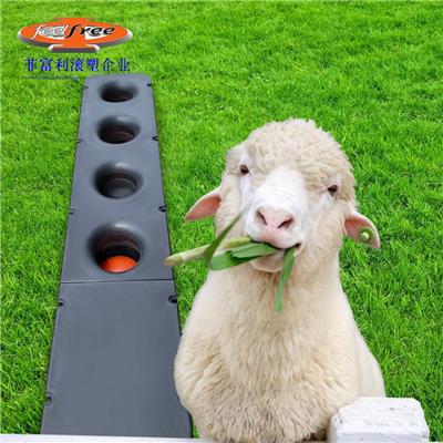 菲富利 冬天羊的饮水加热水槽 羊饮水槽加热 36V安全加热