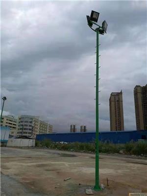 SY100W太阳能路灯|贺州八步公路灯杆批发