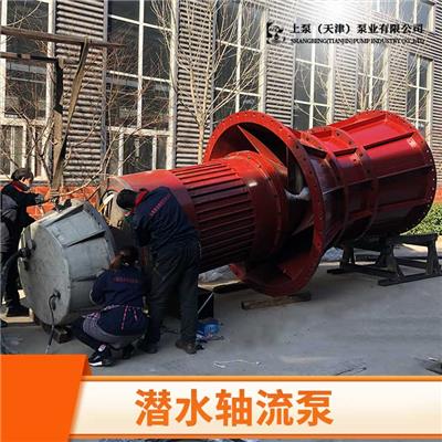 广东经销商900QZB-85大流量潜水轴流泵机电排灌