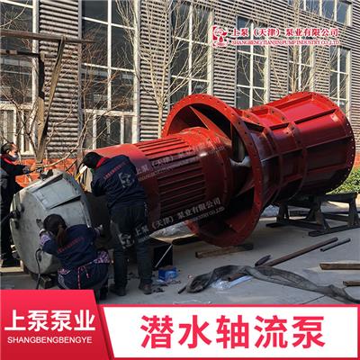 广东800QZB-85大流量潜水轴流泵机电排灌