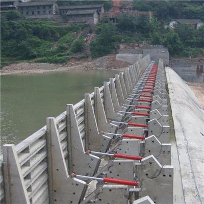 芜湖水库钢闸门 地轴驱动液压坝