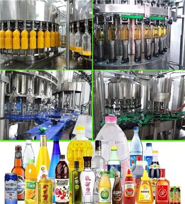 全自动蓝莓汁饮料生产线 饮料灌装机厂家 玻璃瓶蓝莓汁饮料加工设备