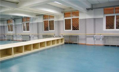 舞蹈地板地胶防滑弹性软地板瑜伽房用