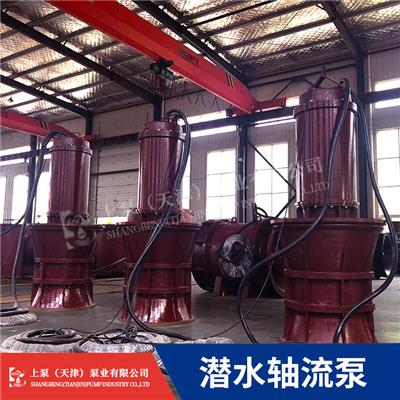 天津QZB700-125潛水軸流泵廠家**供應