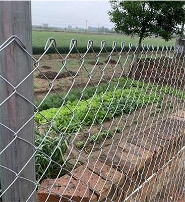 宜昌养鸡铁丝网防护栏规格 质量可靠