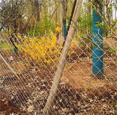 南京养鸭围栏铁丝网规格 安全可靠