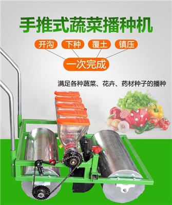 手推式蔬菜播种机香菜精播机蔬菜精播机芹菜上海青白菜萝卜播种镂