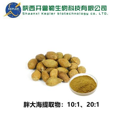 免费样品 黑河胖大海提取物